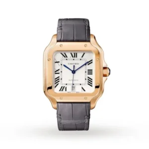 Cartier Santos de Cartier Men Automatic Silver Alligator Watch WGSA0019